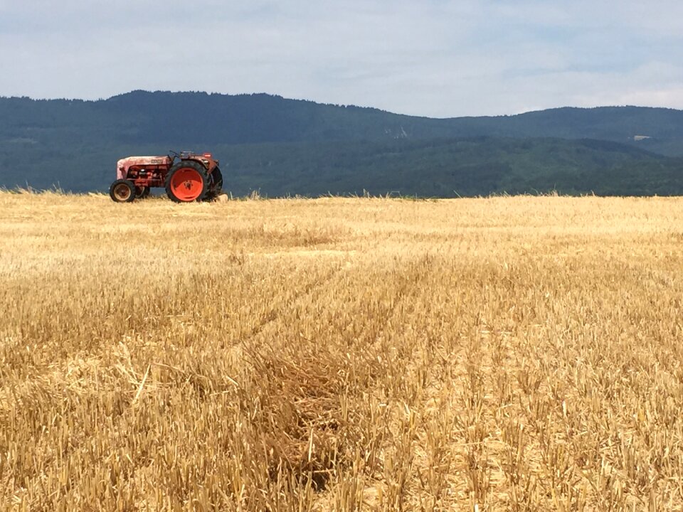 Tractor sun summer