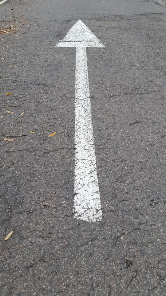 Pillar shield road construction