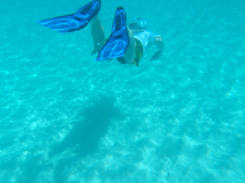 Snorkeling flippers ocean