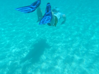 Snorkeling flippers ocean