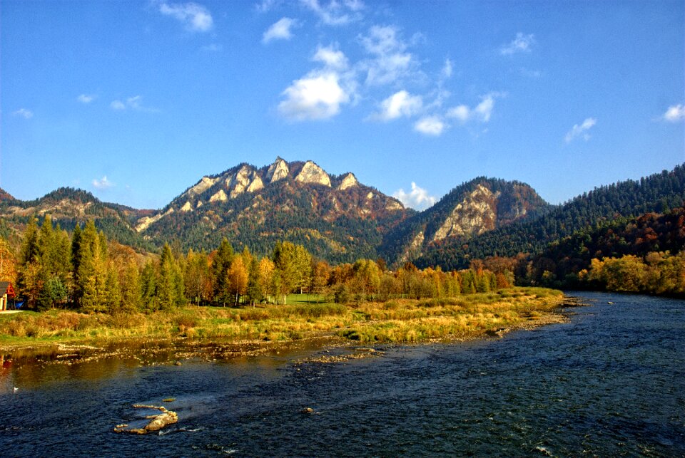 Autumn leaves colors view