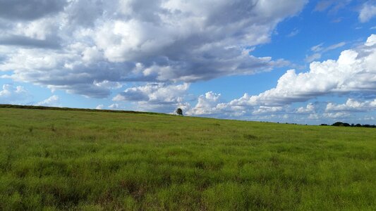 Landscape farmland meadow photo