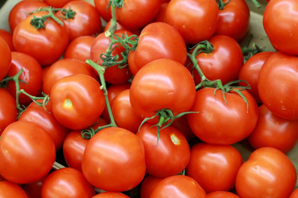 Tomatoes canary tomatoes vegetable
