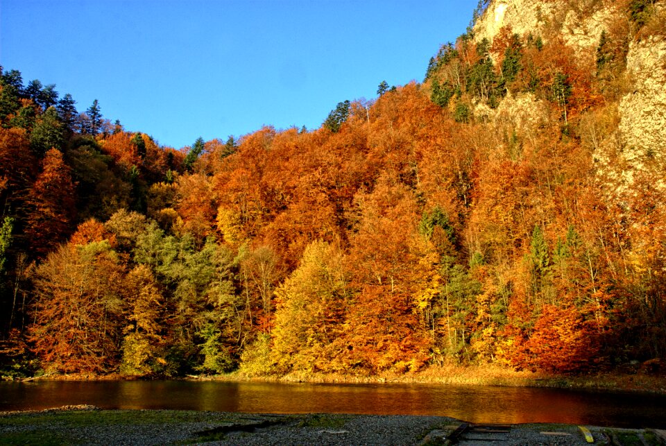 Colors view nature