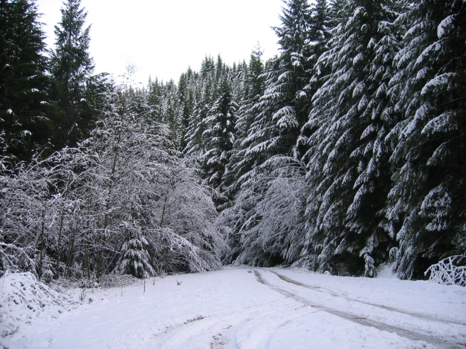Winter landscape pathway