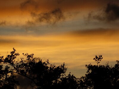 End of afternoon lead french guiana