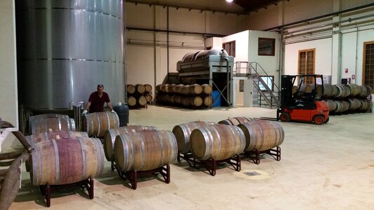 Casks wine production lyng