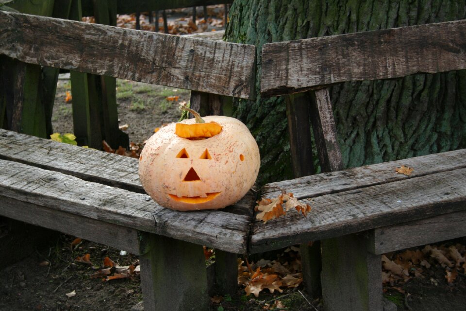 Halloween orange 31 october