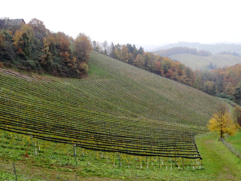 Fog hills austria