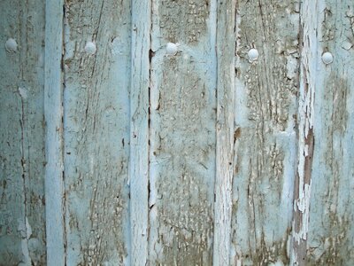 Wood blue turquoise photo
