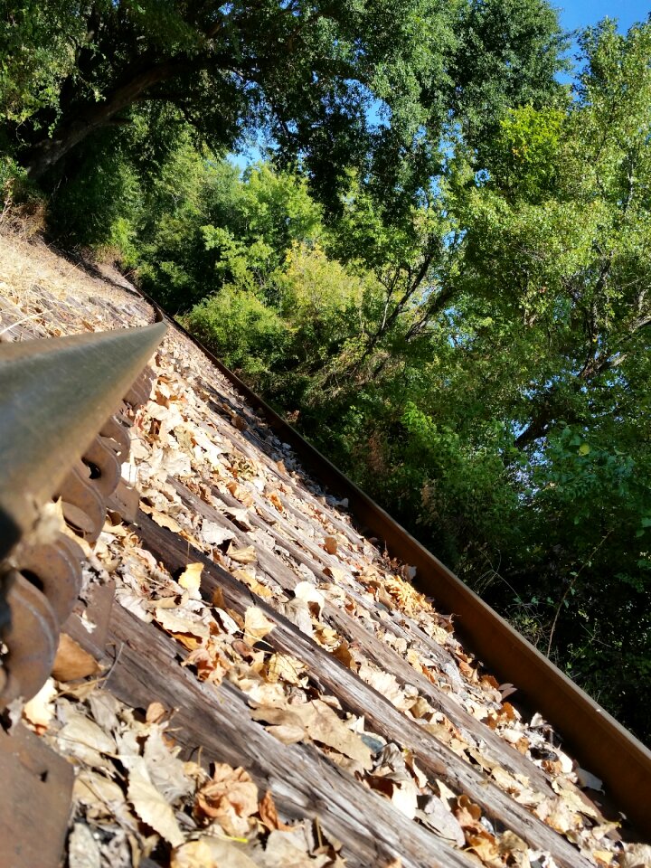 Railroad tracks train tracks