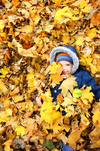 Listopad golden autumn yellow