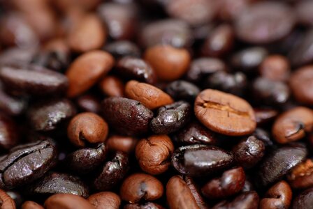 Caffeine fresh grains