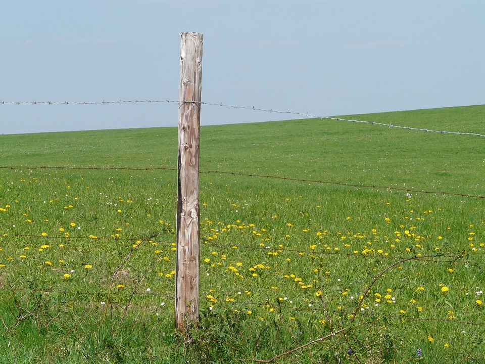 Wide infinity fence