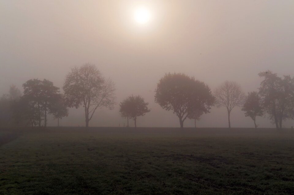 Autumn hoarfrost trees