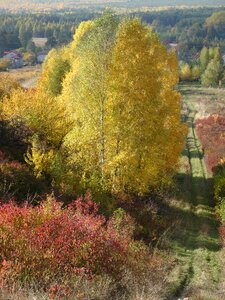 Way landscape autumn photo