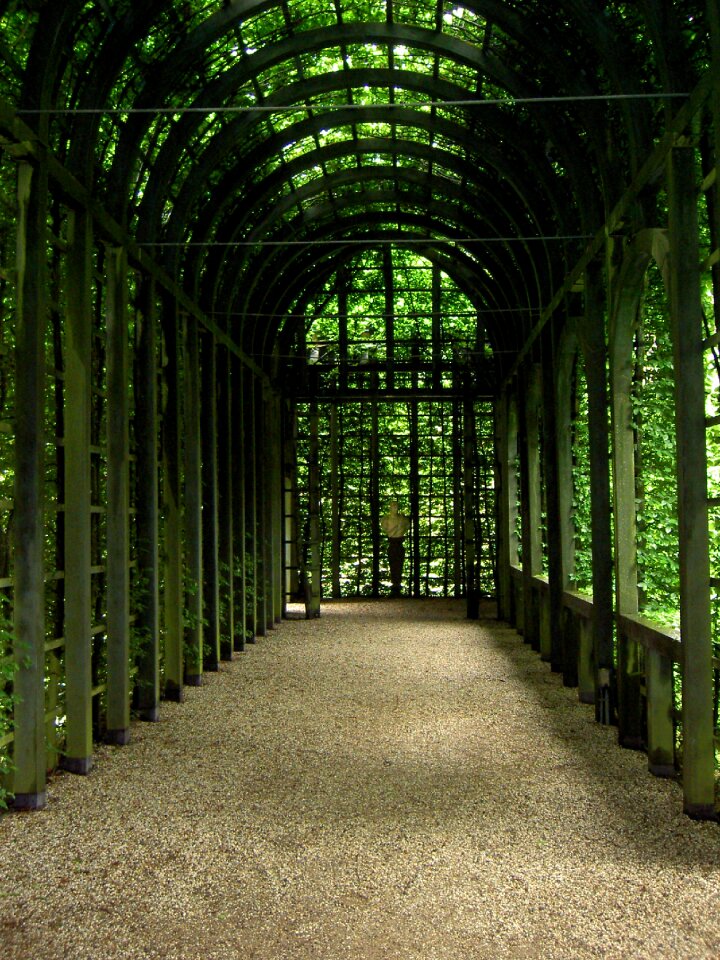 Garden light tunnel