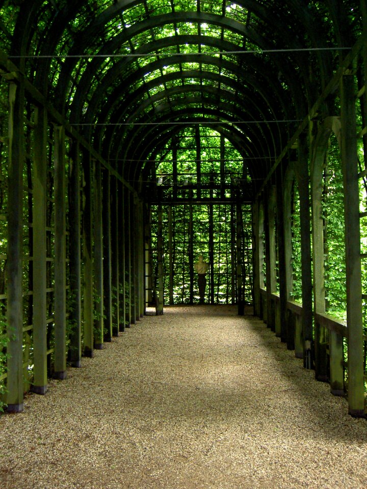 Garden light tunnel photo