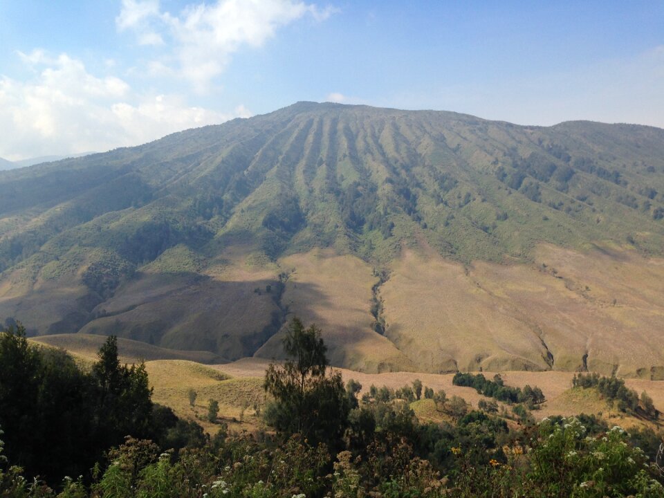 Nature hills