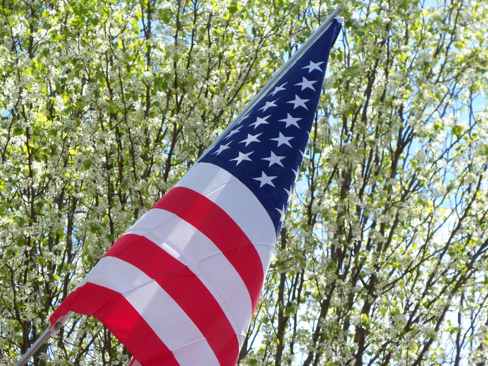 Waving american flag usa