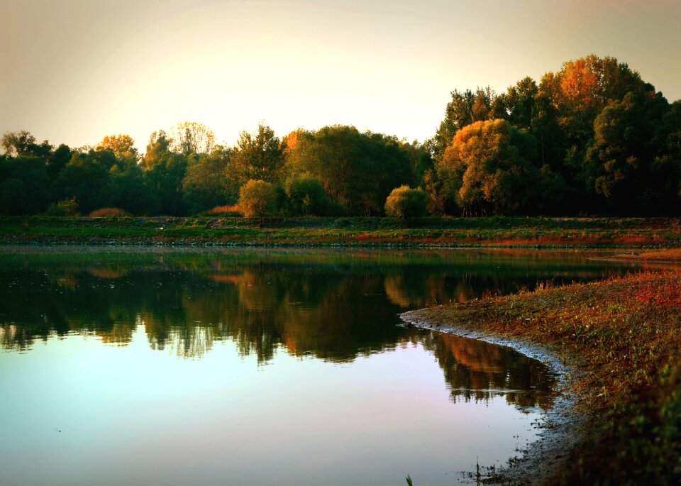 Autumn water trees photo