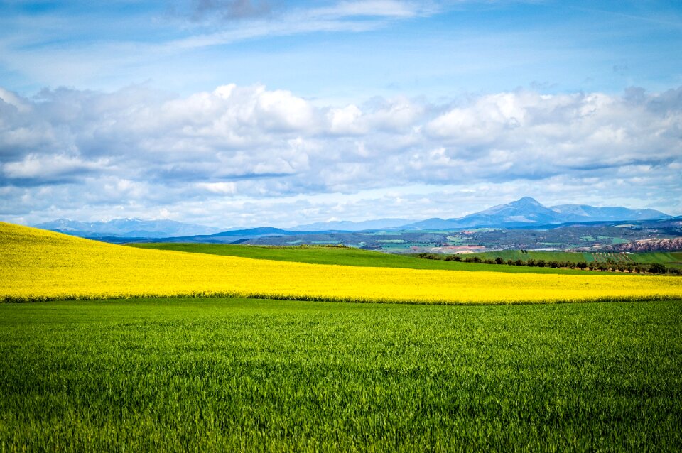 Clouds landscape cultivation