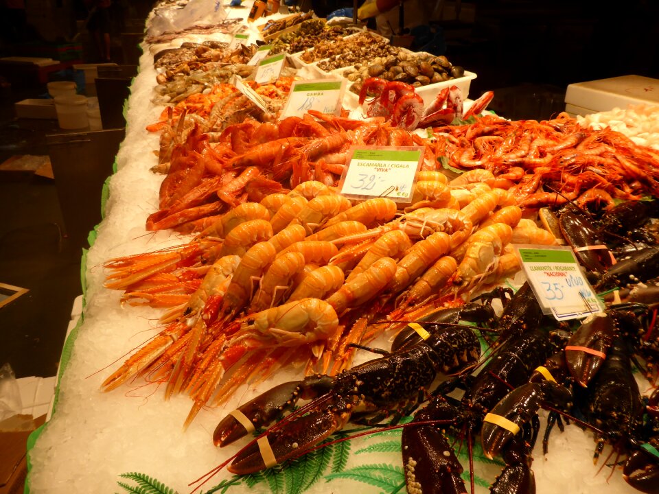 Shrimp shellfish fresh