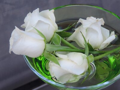 Wedding romantic