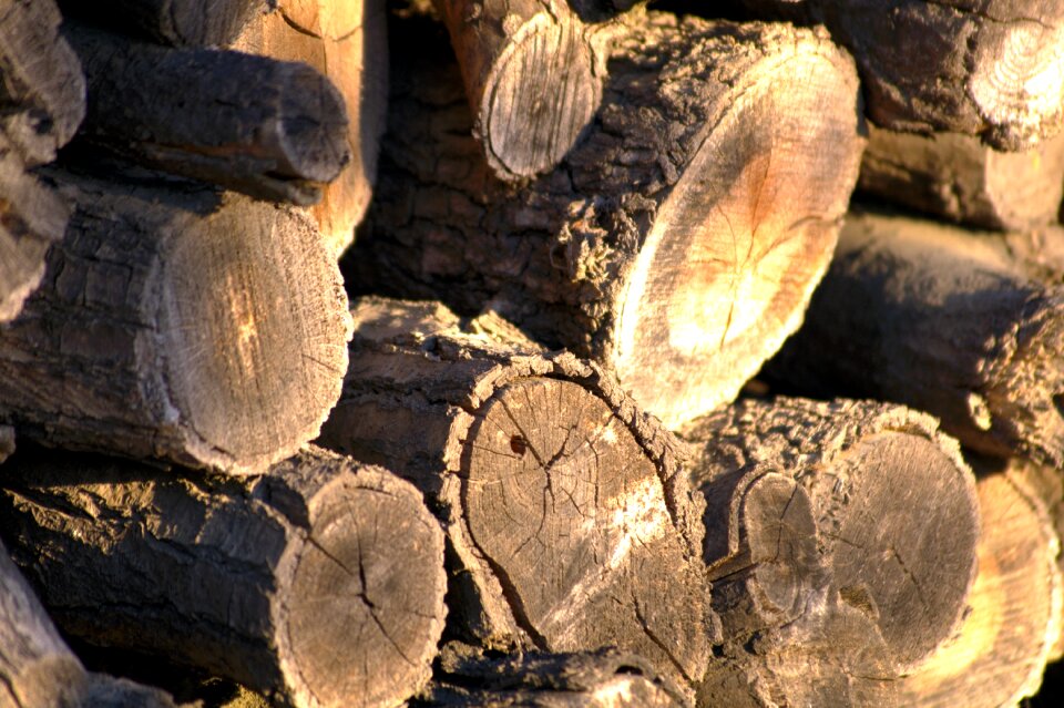 Autumn heating calm