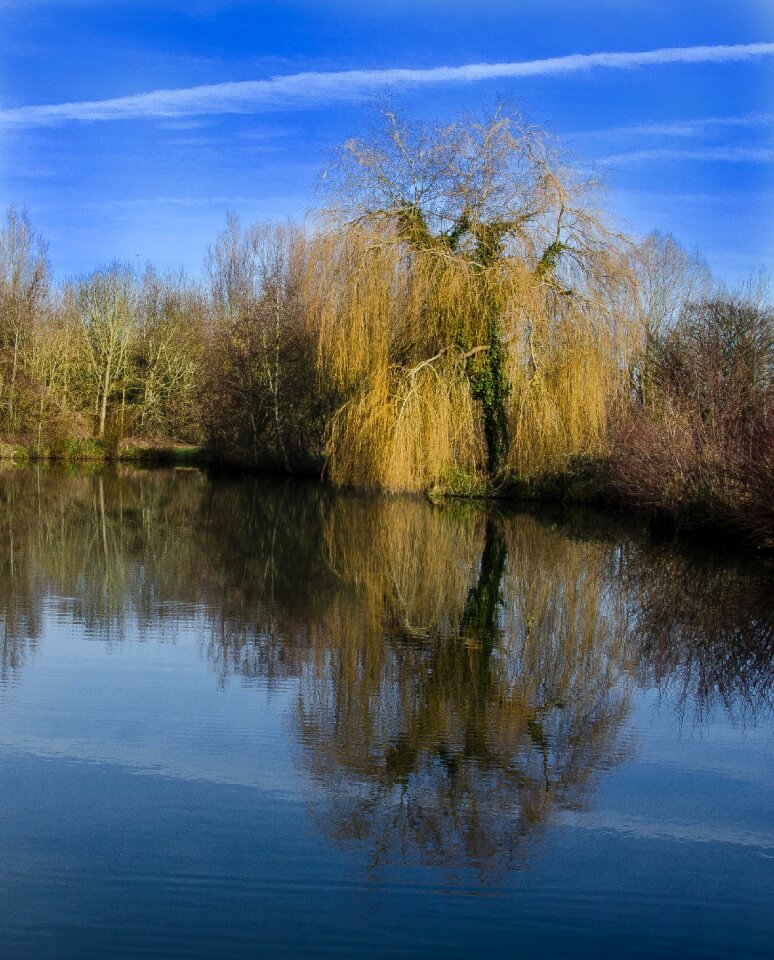 Thorney lakes