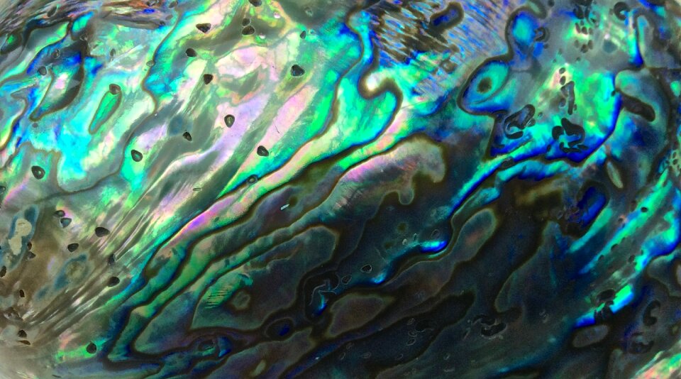 Blue pearl colorful