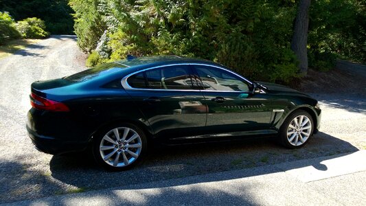 Stylish shiny luxury