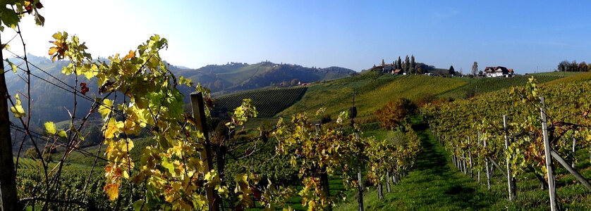 Landscape austria hills