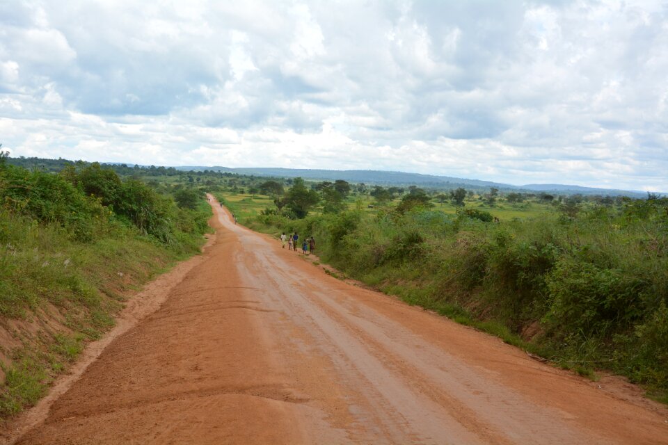 Africa tanzania safari