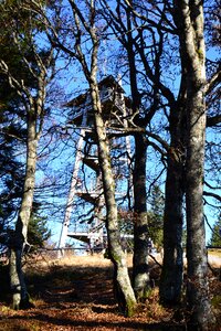 Tower schauinsland tree photo