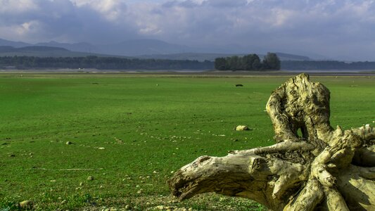 Green slovakia Free photos