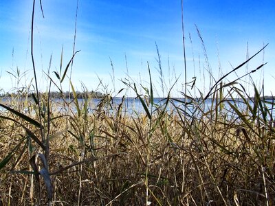 Landscape water outdoors