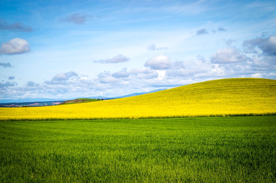 Clouds landscape cultivation