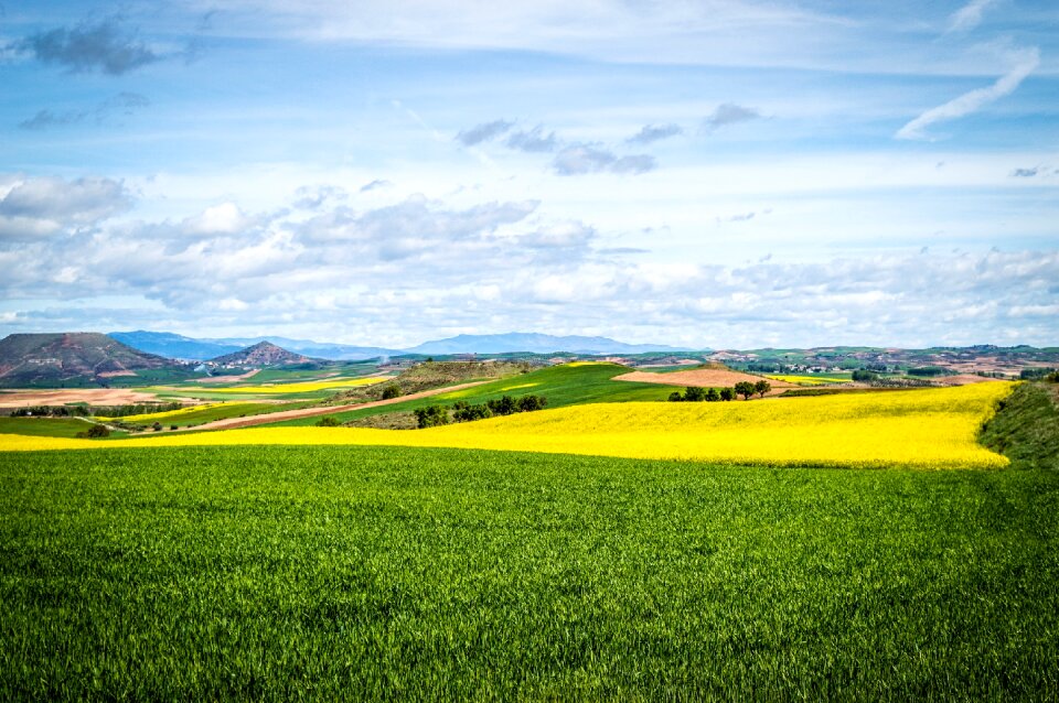 Spring landscape agriculture