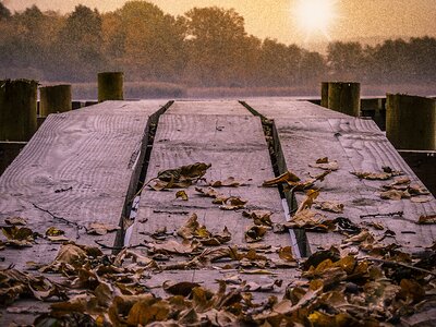 Boat pond dock