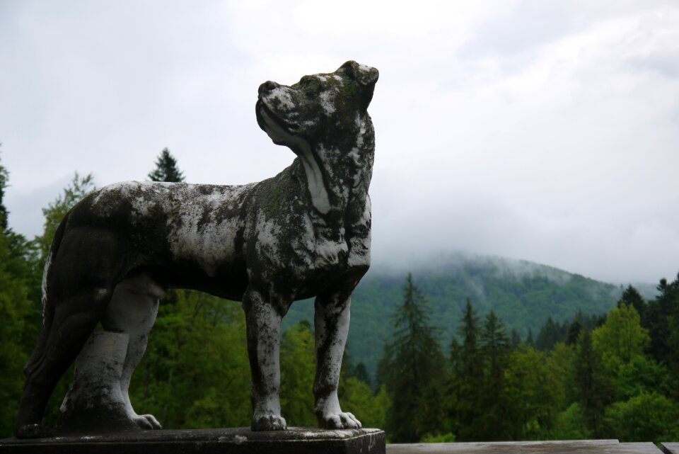 Dog romania statue
