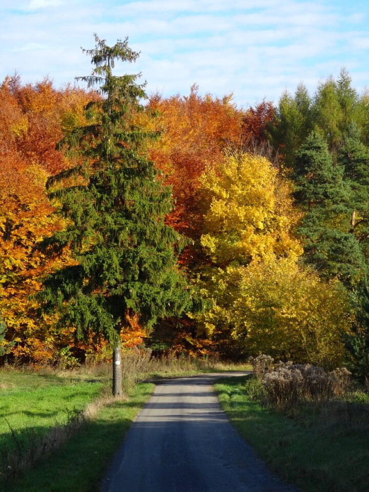 Autumn landscape nature photo