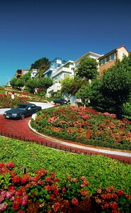 House villa landscape