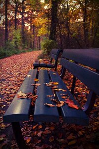 Rest away benches