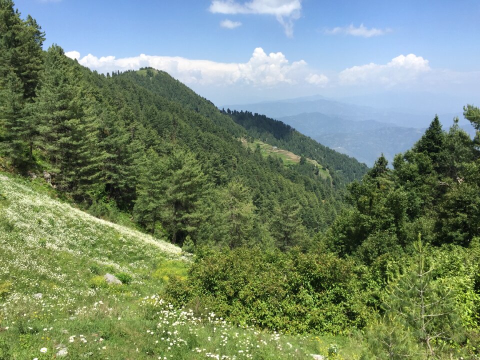 Summer landscape hiking outdoor