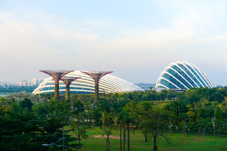 Scene asia botanical