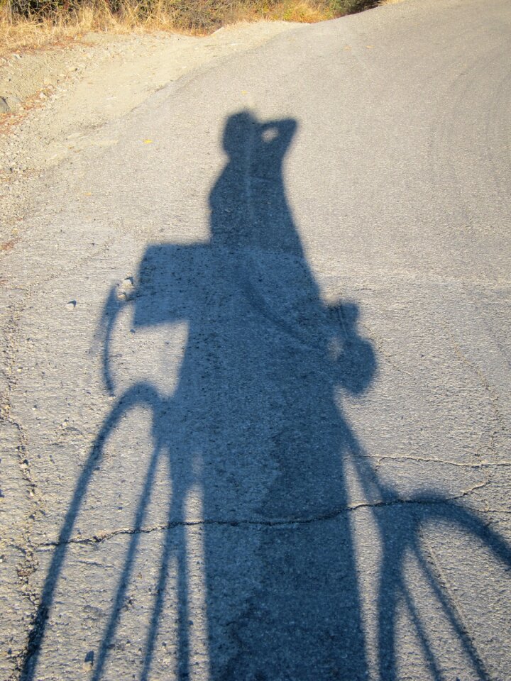 Bicycle shadow projection