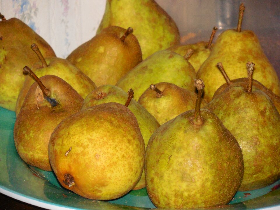 Organic healthy fresh