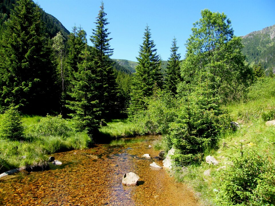 The giant mountains water summer