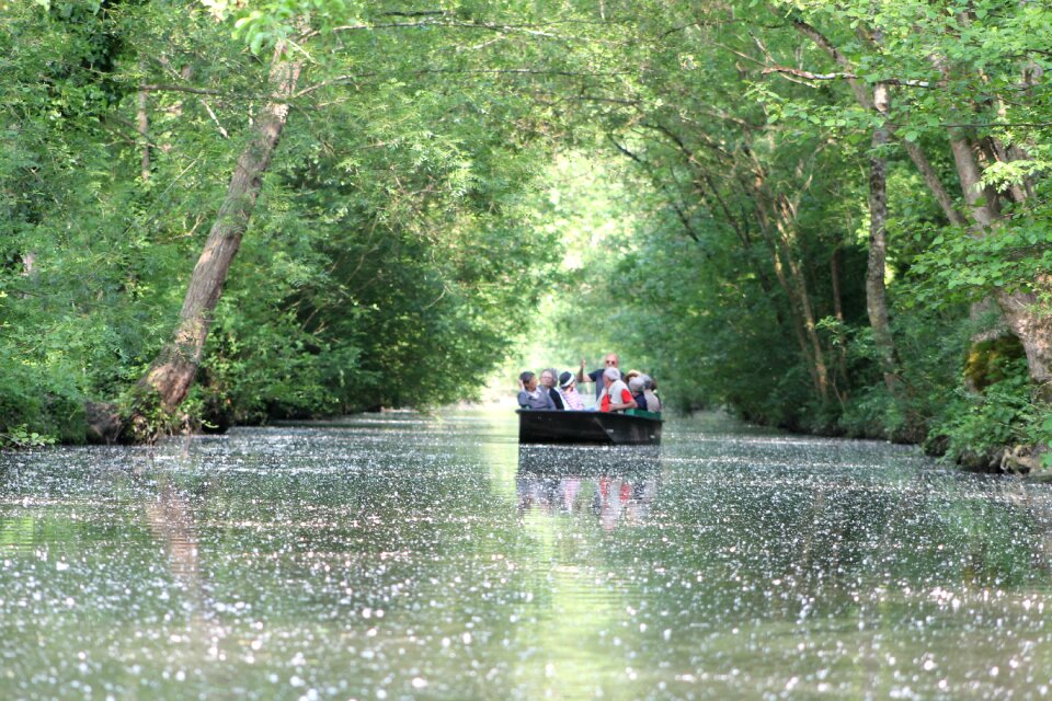 Water boat marsh